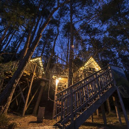 Nids Des Vosges Champdray Exterior foto